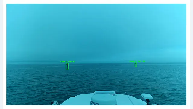 Buoy detection and distance-estimation sample