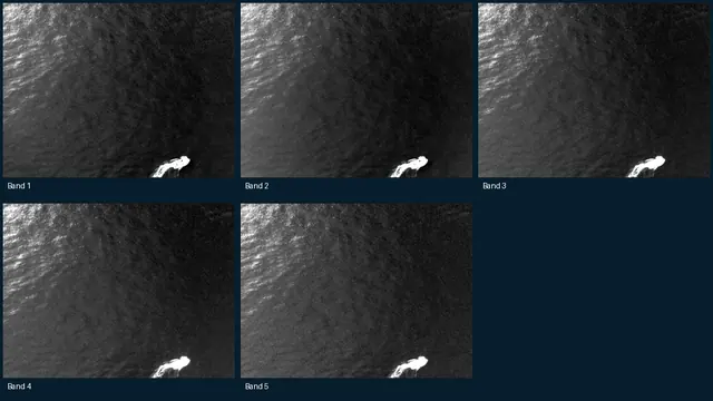 Contrast-normalized views of five bands from one SeaDronesSee multispectral training image