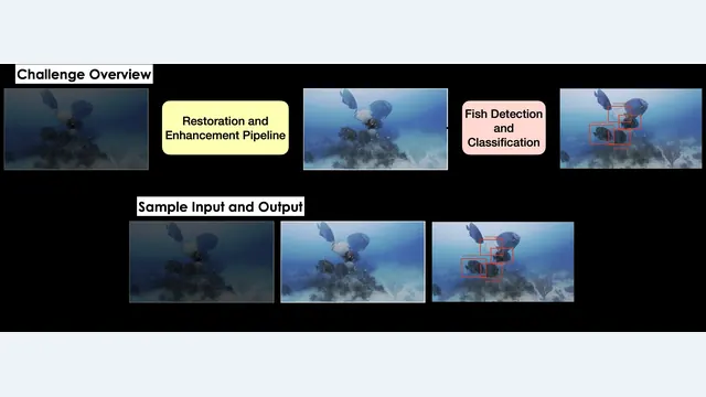 MarineVision Restoration paired degraded and restored underwater examples