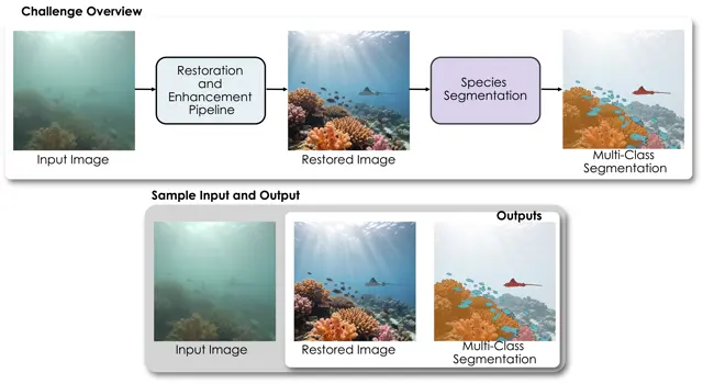 EURS underwater restoration and semantic segmentation examples
